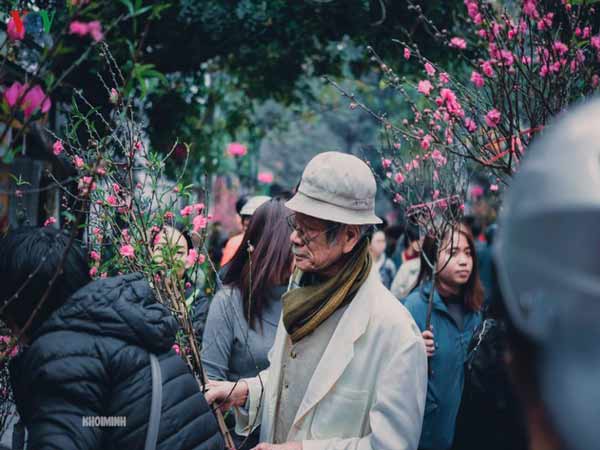 Ý nghĩa phong tục chơi hoa ngày Tết của người Việt