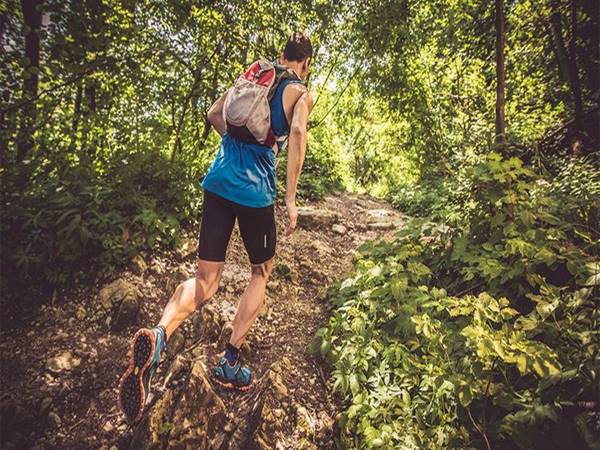 Chạy Trail là gì? Sự khác biệt giữa chạy Trail và chạy việt dã