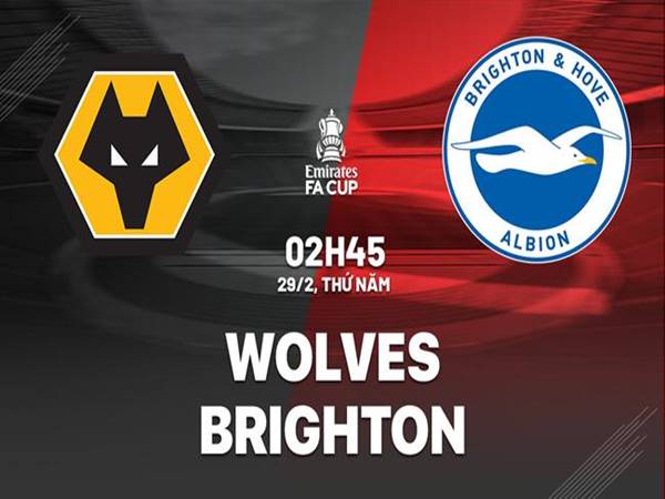 Nhận định trận Wolves vs Brighton